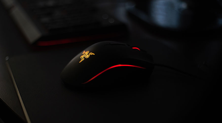 This is an example of a Razer mouse. Razer is considered one of the best gaming peripheral companies when it comes to finding the best gaming mice for palm grip.