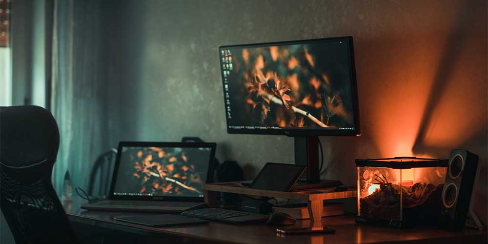 best panel monitor type for gaming