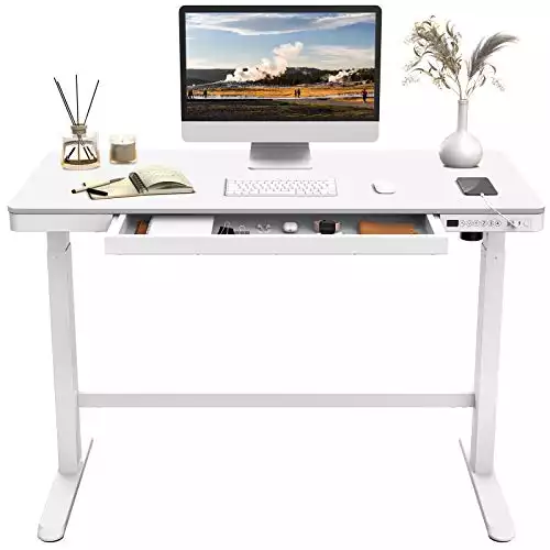 Flexispot EW8 Electric Standing Desk